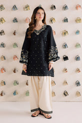 BATIK-2PIECE DHANAK EMBROIDERED SHIRT WITH DHANAK EMB SLEEVES-PK-15010