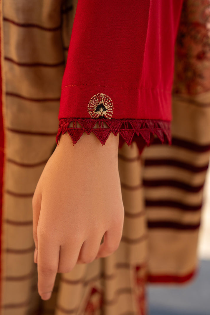 PULK-3PC DHANAK CUTWORK EMBROIDERED SHIRT WITH HEAVY CUTWORK EMBROIDERED JACQUARD WOOL SHAWL -PK-5534