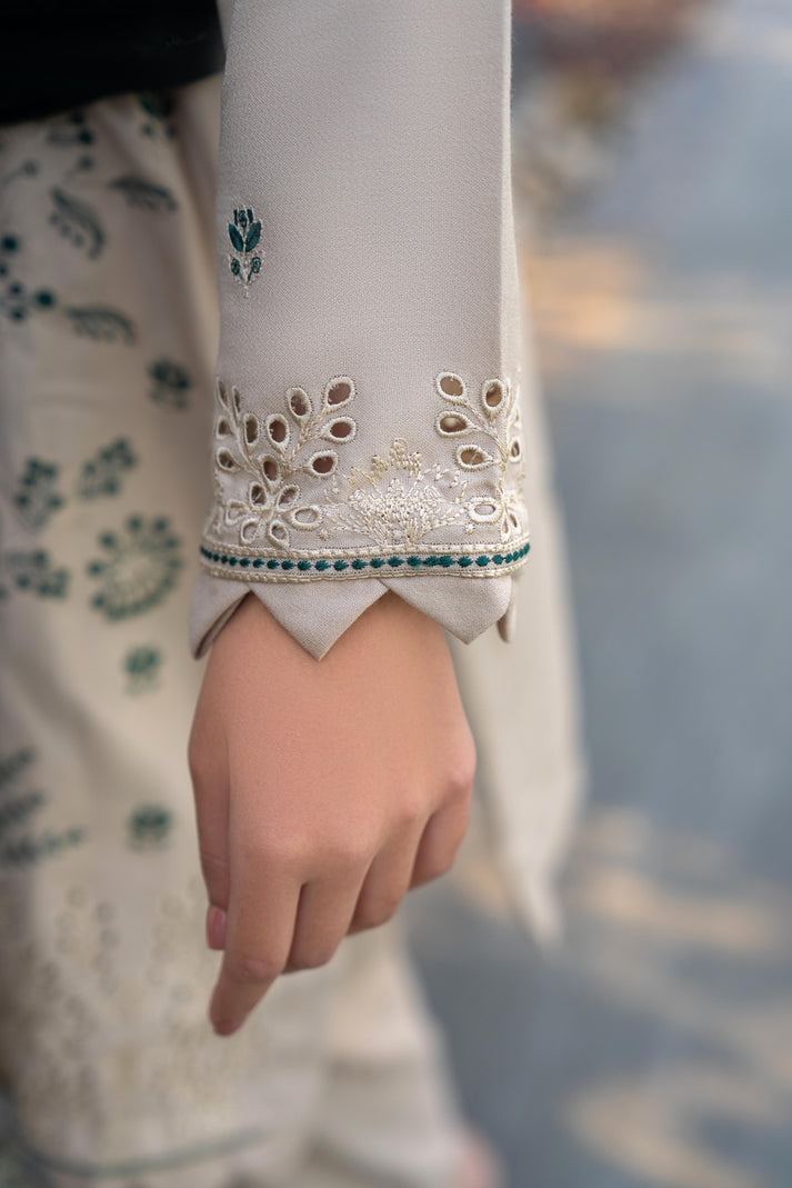 PULK-3PC DHANAK EMBROIDERED SHIRT WITH VELVET EMBROIDERED READY TO WEAR SHAWL-PK-5531
