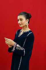 URGE -2PC Velvet Heavy Embroidered Shirt With Velvet Embroidered Sleeves-PK-D23