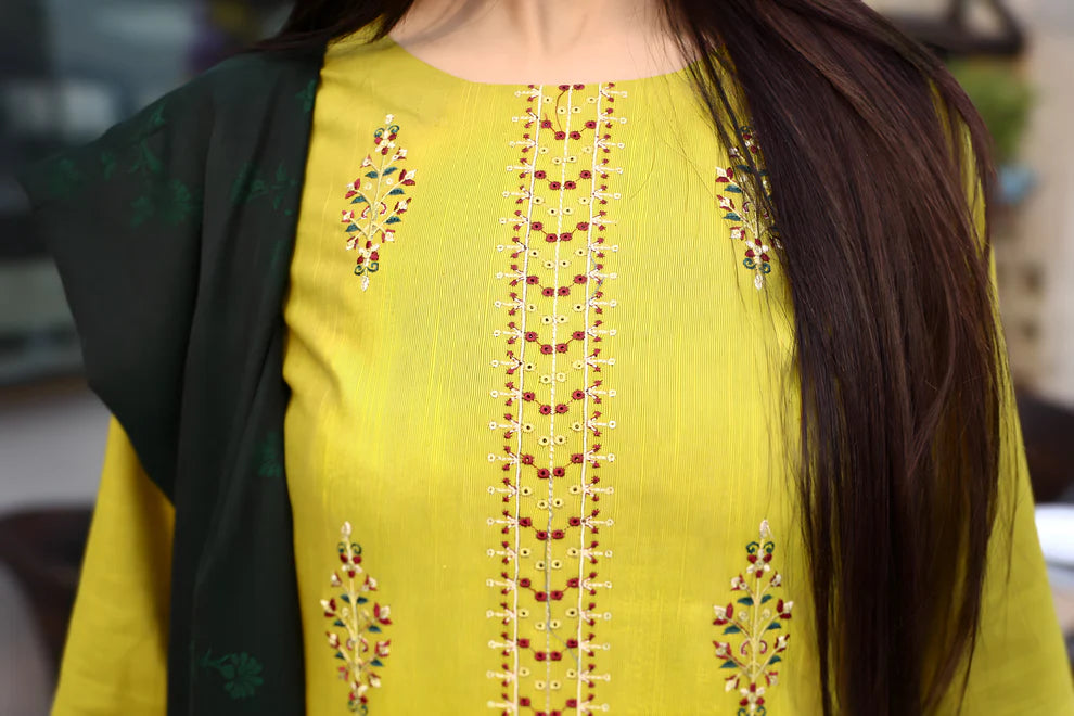 ELAAN-3PC KHADDAR CUTWORK EMBROIDERED SHIRT WITH KASHMIRI JACQUARD WOOL SHAWL-EP-5524