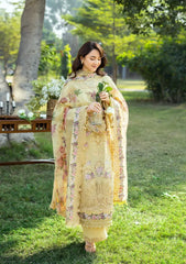 RANG RASIYA-UNSTITCHED 3PC LAWN EMBROIDERED SUIT-PK-4801